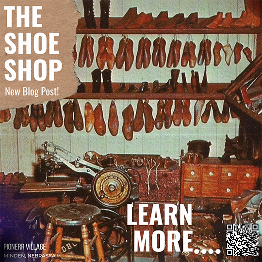 The Shoe Shop